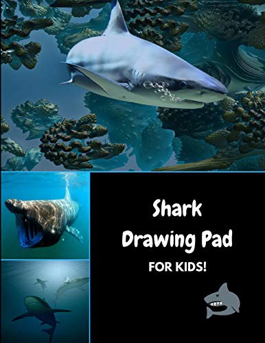 Shark Drawing Pad for Kids!