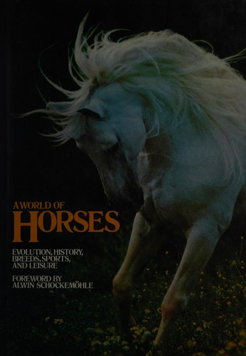 A world of horses
