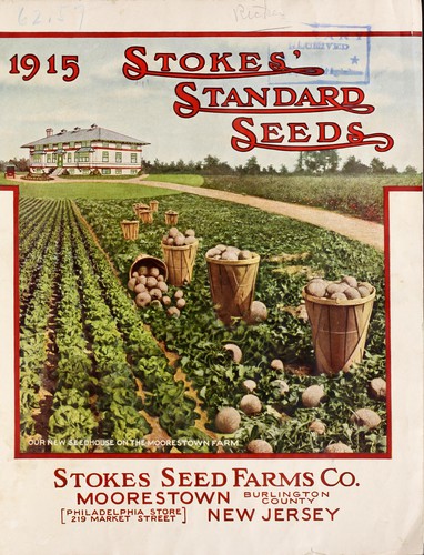 1915 Stokes standard seeds