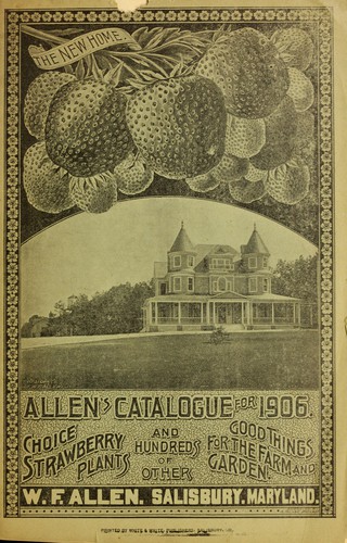 Allen's catalogue for 1906
