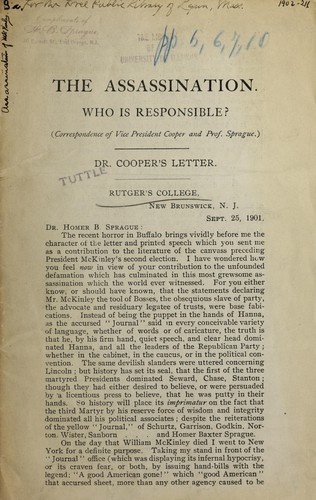 The assassination, who is responsible?