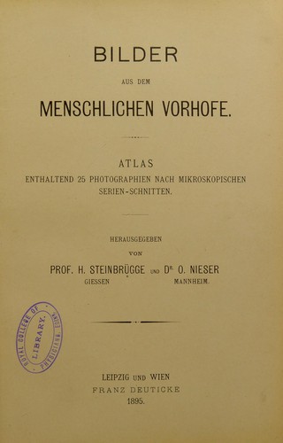 Bilder aus dem menschlichen Vorhofe