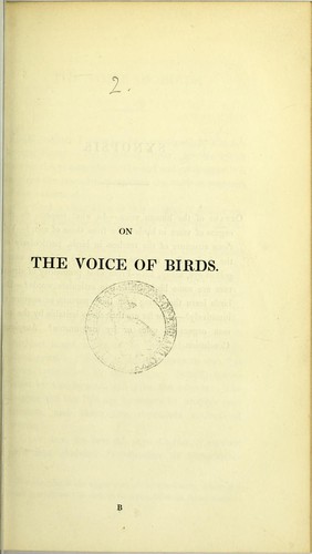 On the voice of birds