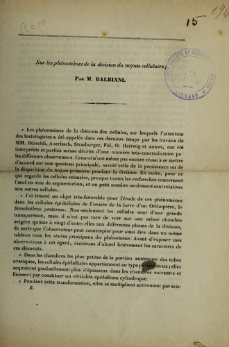 Sur les phénomènes de la division du noyau cellulaire