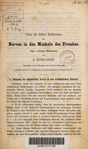 Ueber die letzten Endigungen der Nerven in den Muskeln der Frosches