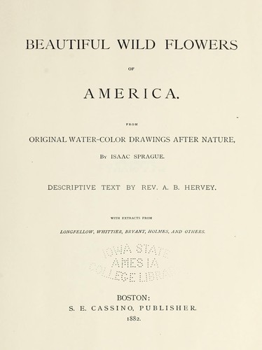 Beautiful wild flowers of America