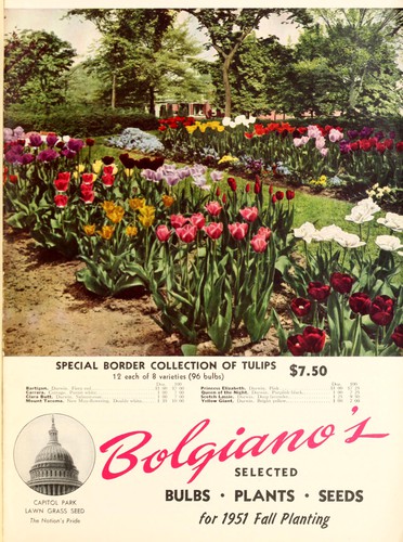 Bolgiano's selected bulbs plants seeds for 1951 fall planting