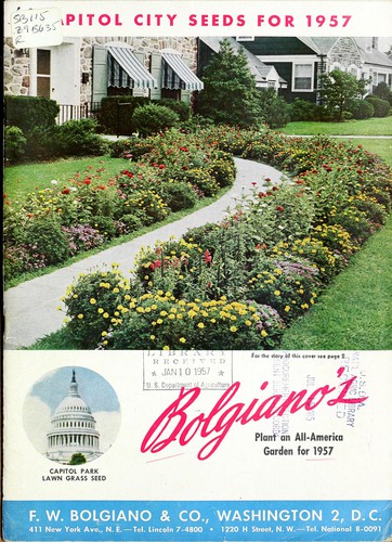 Capitol city seeds for 1957