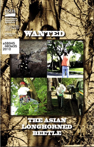 Wanted
