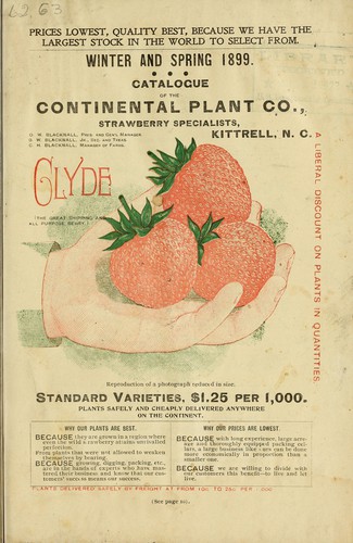 Winter and spring 1899 catalogue