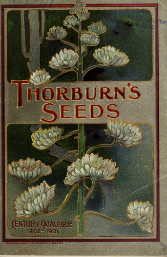 Thorburn's century