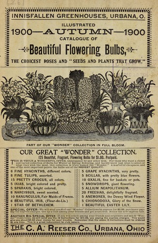 Illustrated autumn 1900 catalogue of beautiful flowering bulbs, the choicest roses and "seeds and plants that grow"