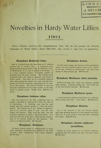 Novelties in hardy water lillies