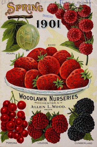Spring 1901