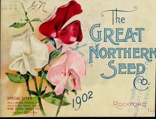 [Catalog of] the Great Northern Seed Co., 1902