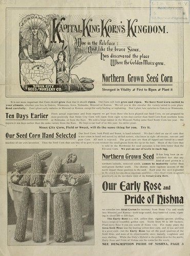 Northern grown seed corn