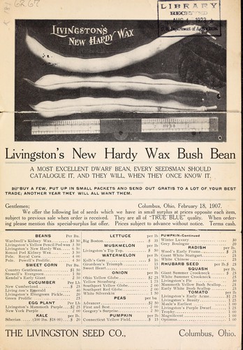 Livingston's new hardy wax bush bean