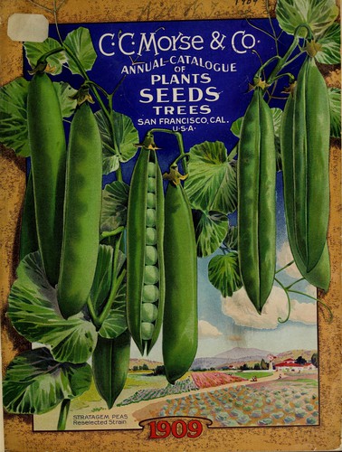 Annual catalogue of plants, seeds, trees