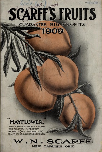 Scarff's fruits 1909 guarantee big profits