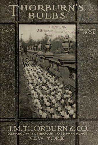 Thorburn's bulbs 1909