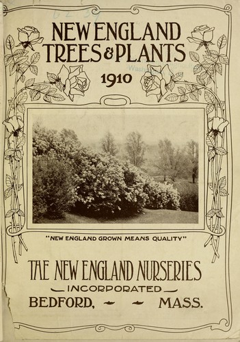 New England trees & plants 1910