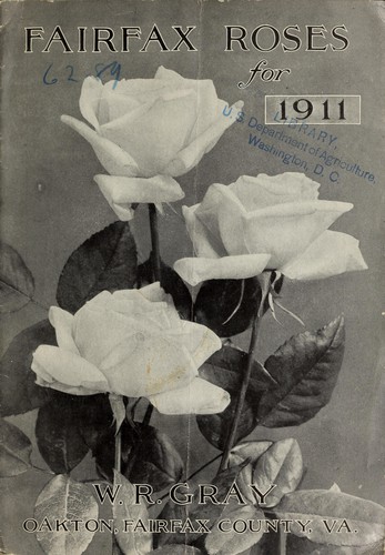 Fairfax roses for 1911