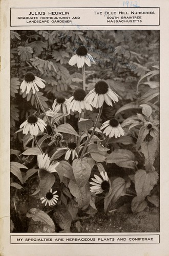 The Blue Hill Nurseries [catalog]