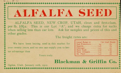 Alfalfa seed