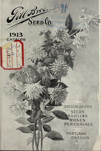1913 catalog