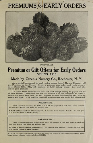 Premium, or, Gift offers for early orders