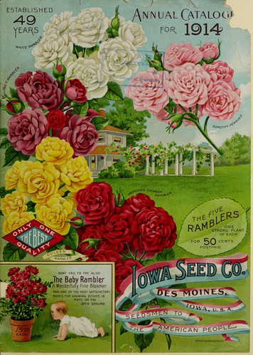 Annual catalogue for 1914