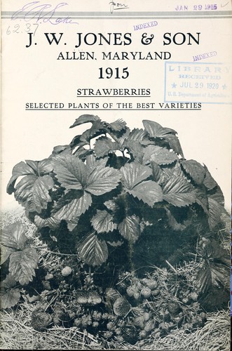 1915 [catalog]