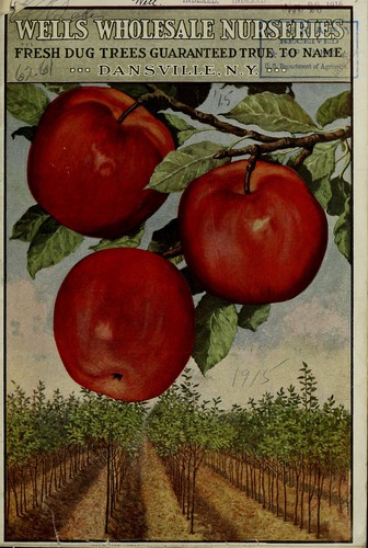 Wells' Wholesale Nurseries catalog, 1915