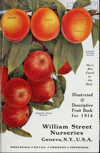 Illustrated & descriptive fruit book for 1914