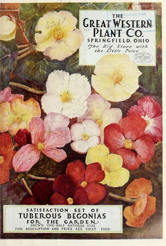 The Great Western Plant Co. [catalog]