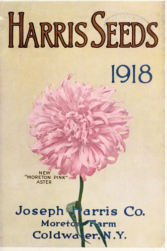 Harris' seeds