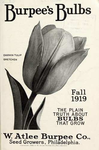 Burpee's bulbs