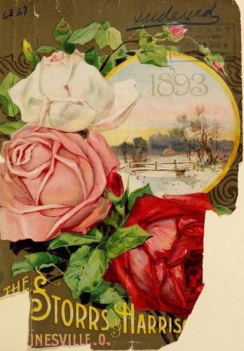 The Storrs & Harrison Co.'s [catalog], no. 2