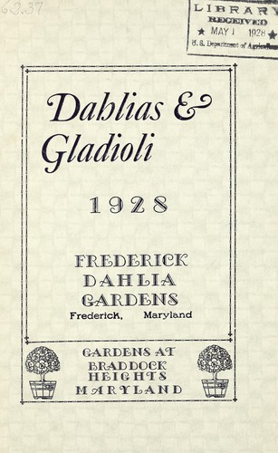 Dahlias and gladioli