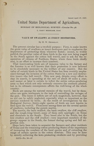 Value of swallows as insect destroyers