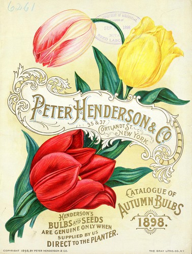 Catalogue of autumn bulbs