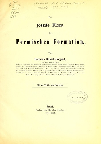Die fossile Flora der Permischen Formation