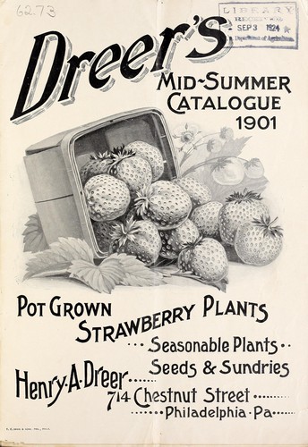 Dreer's mid-summer catalogue