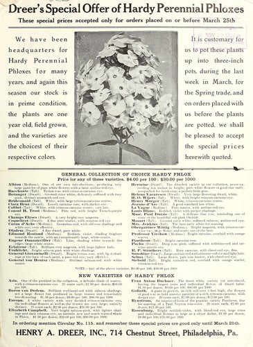 Dreer's special offer of hardy perennial phloxes