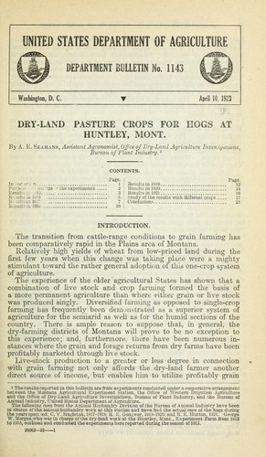 Dry-land pasture crops for hogs at Huntley, Mont