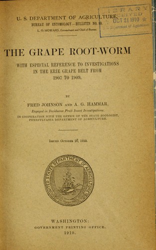 The grape root-worm