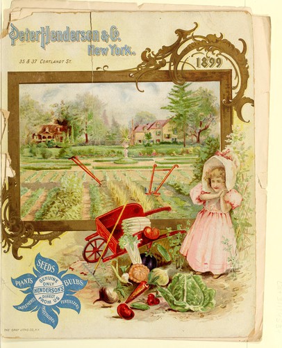 Henderson's plants, seeds, bulbs, implements, insecticides, fertilizers
