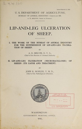 Lip-and-leg ulceration of sheep
