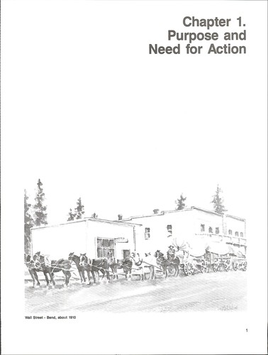 Proposed Brothers/LaPine resource management plan and final environmental impact statement