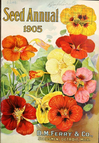 Seed annual 1905